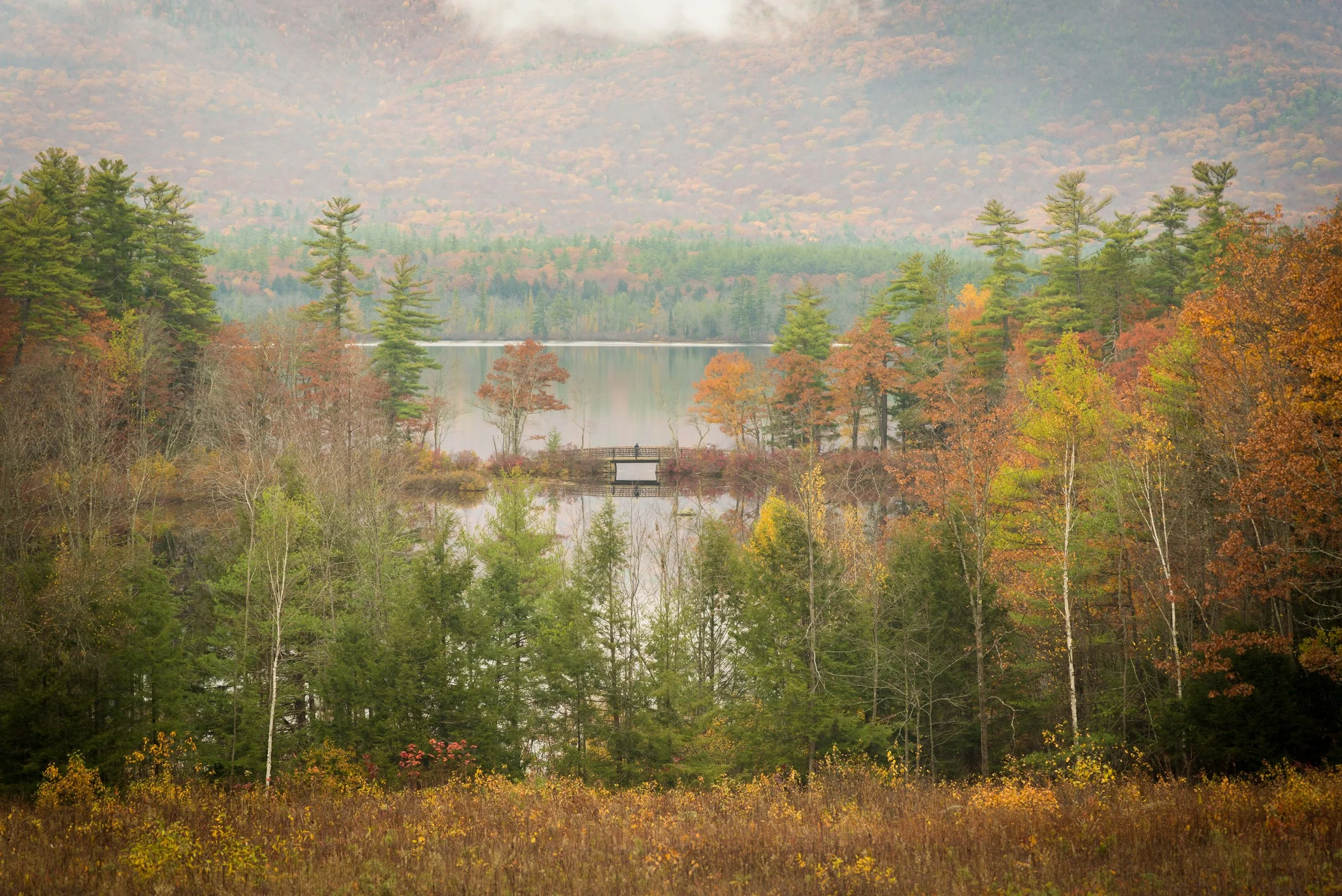 Stewardship Morning at Chocorua Lake Basin View Lot