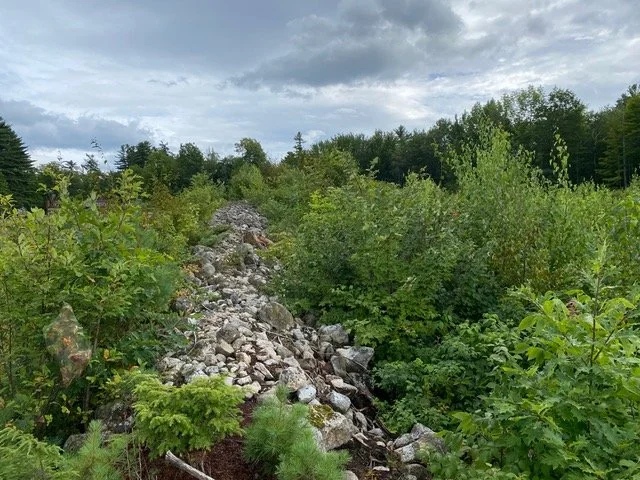 Stewardship Morning at Charlotte C. Browne Woods