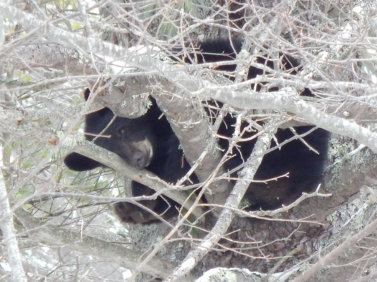 Nature Notes: Fantastic Fall Facts from our Stewardship Director