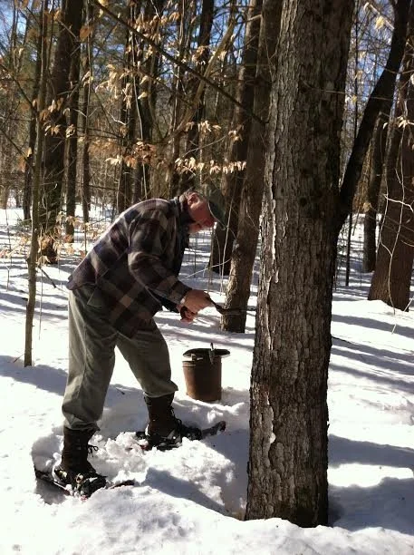 Backyard Sugaring Tour