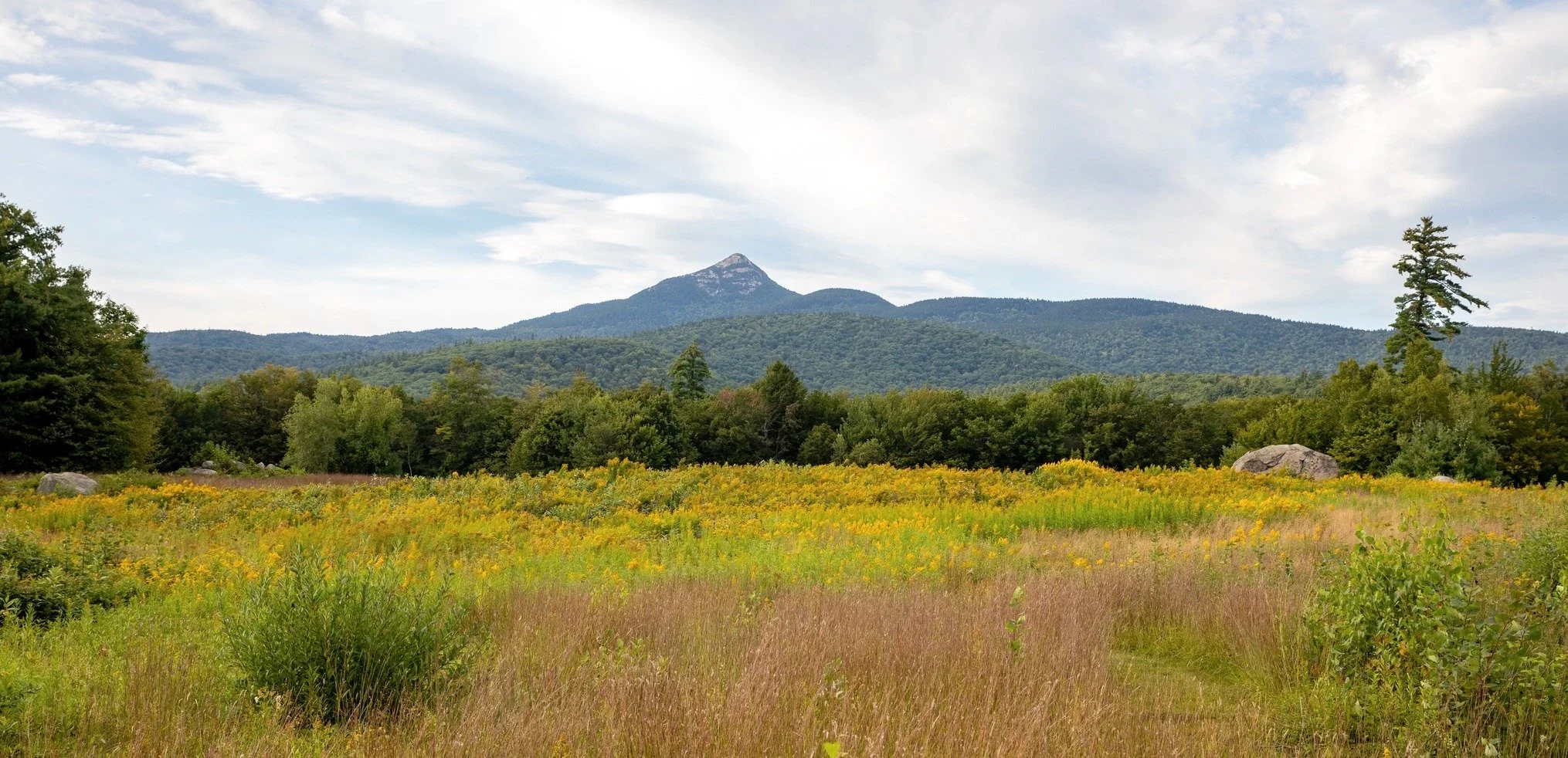 2023 Fall/2024 Winter Newsletter