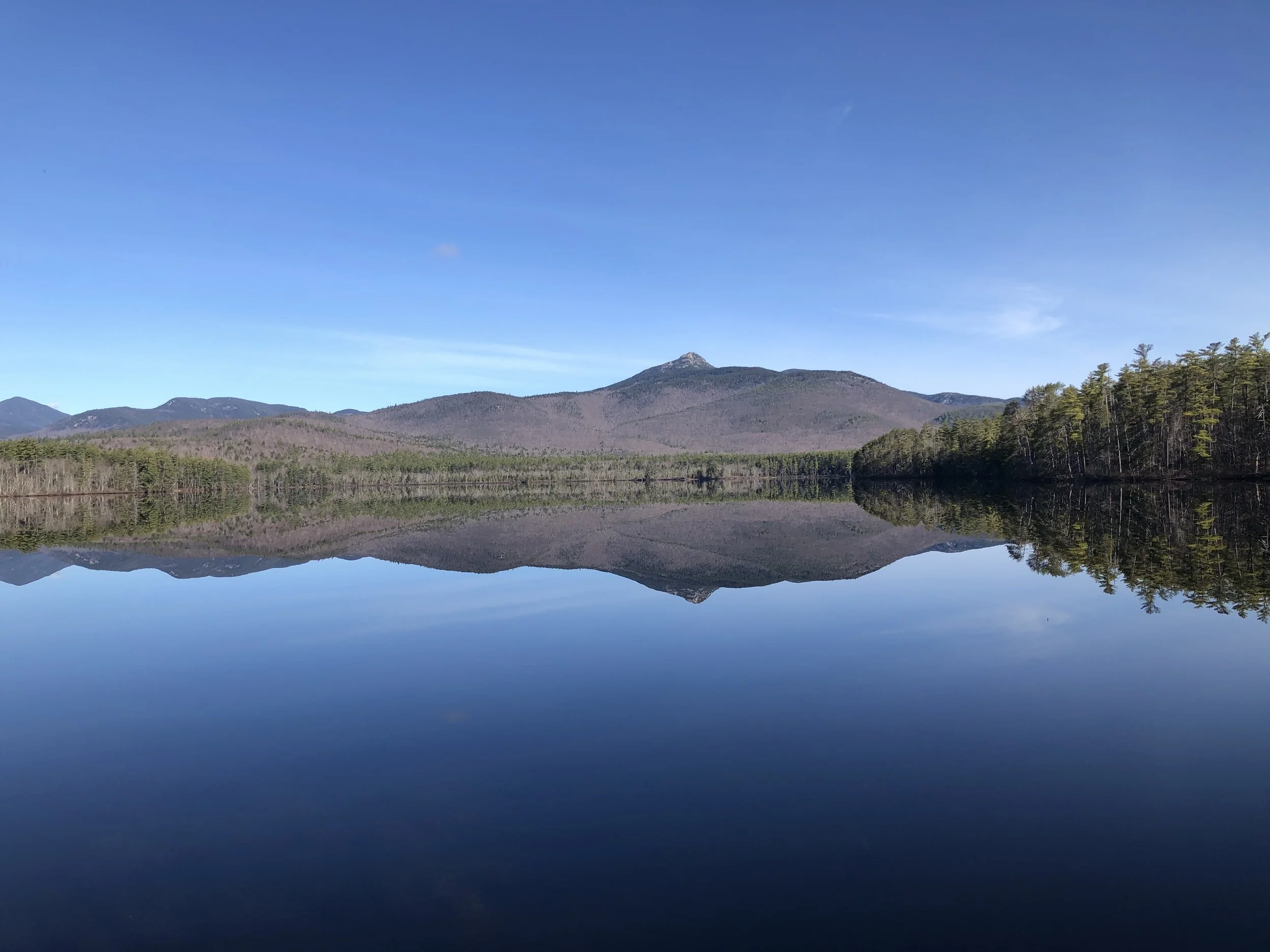 Stewardship Morning — Spring Cleaning at the Grove &amp; Island