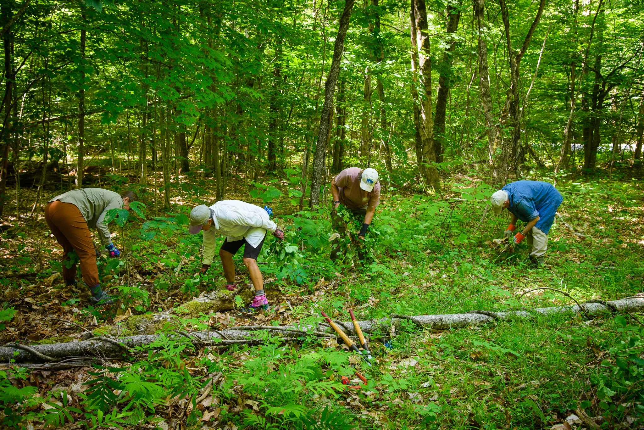 A Bittersweet Stewardship Morning