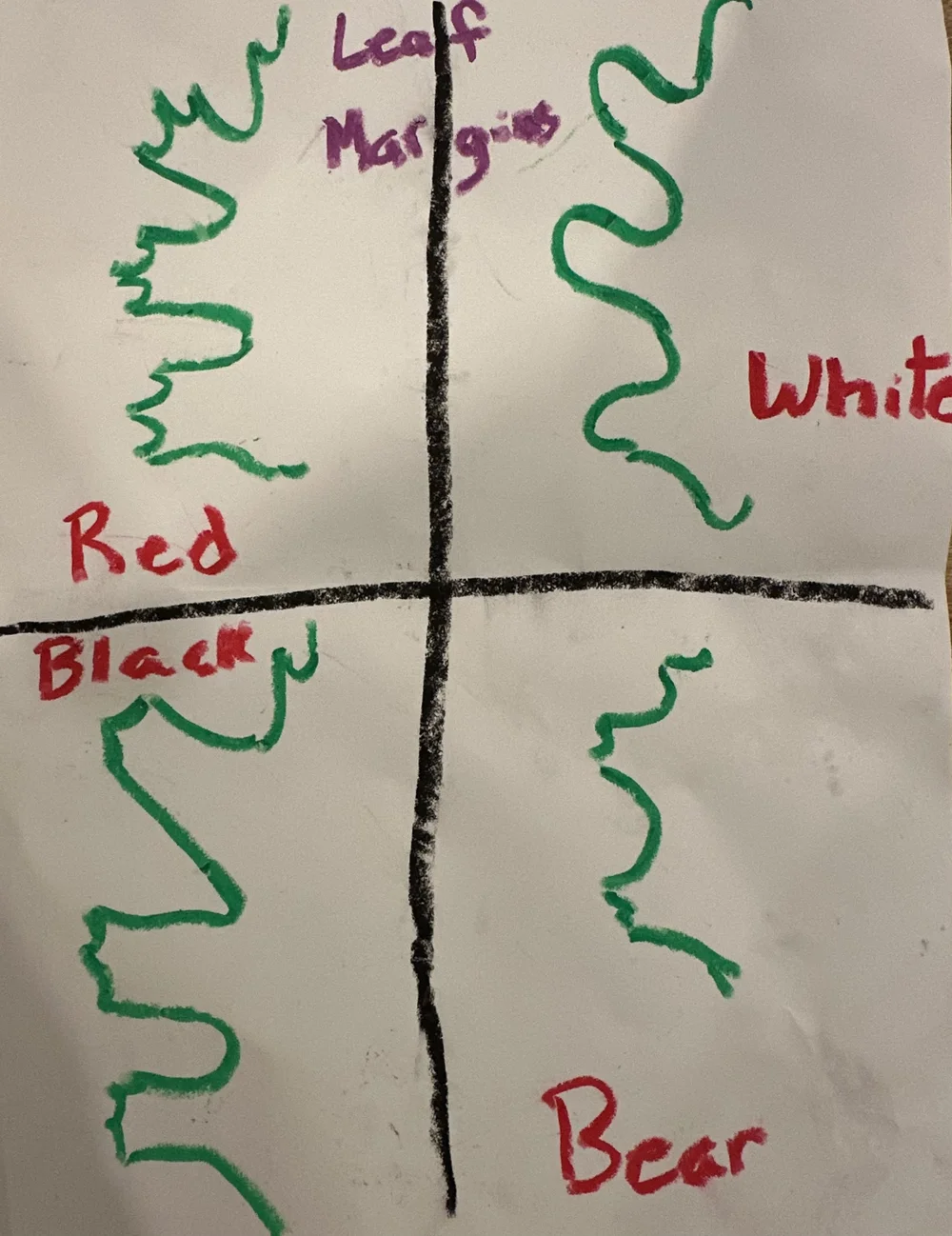 Oak ID...leaf margins.