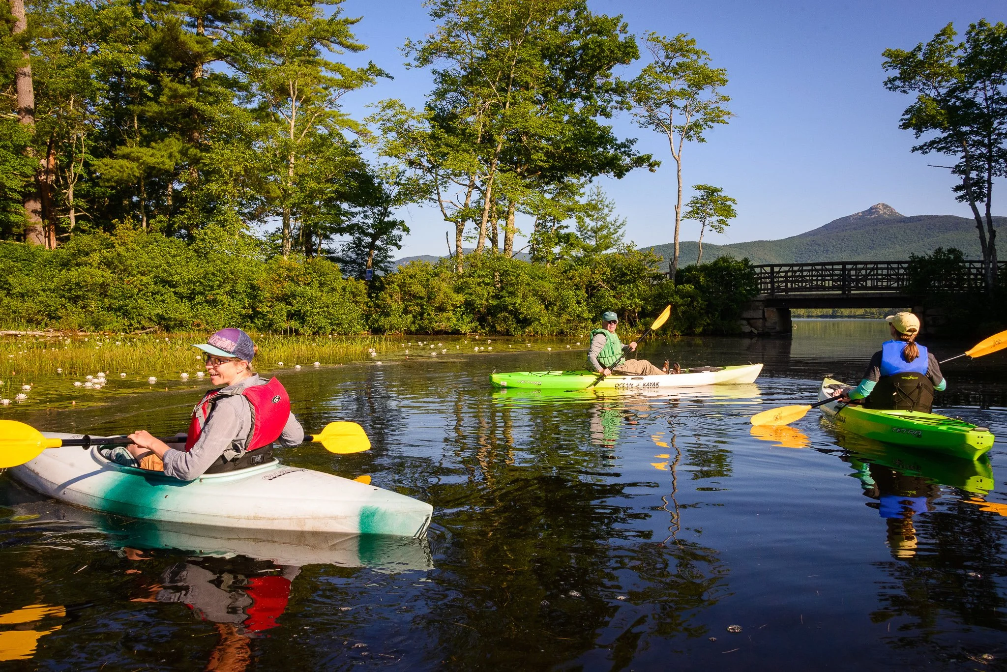 Chocorua Lake Ecology Paddle