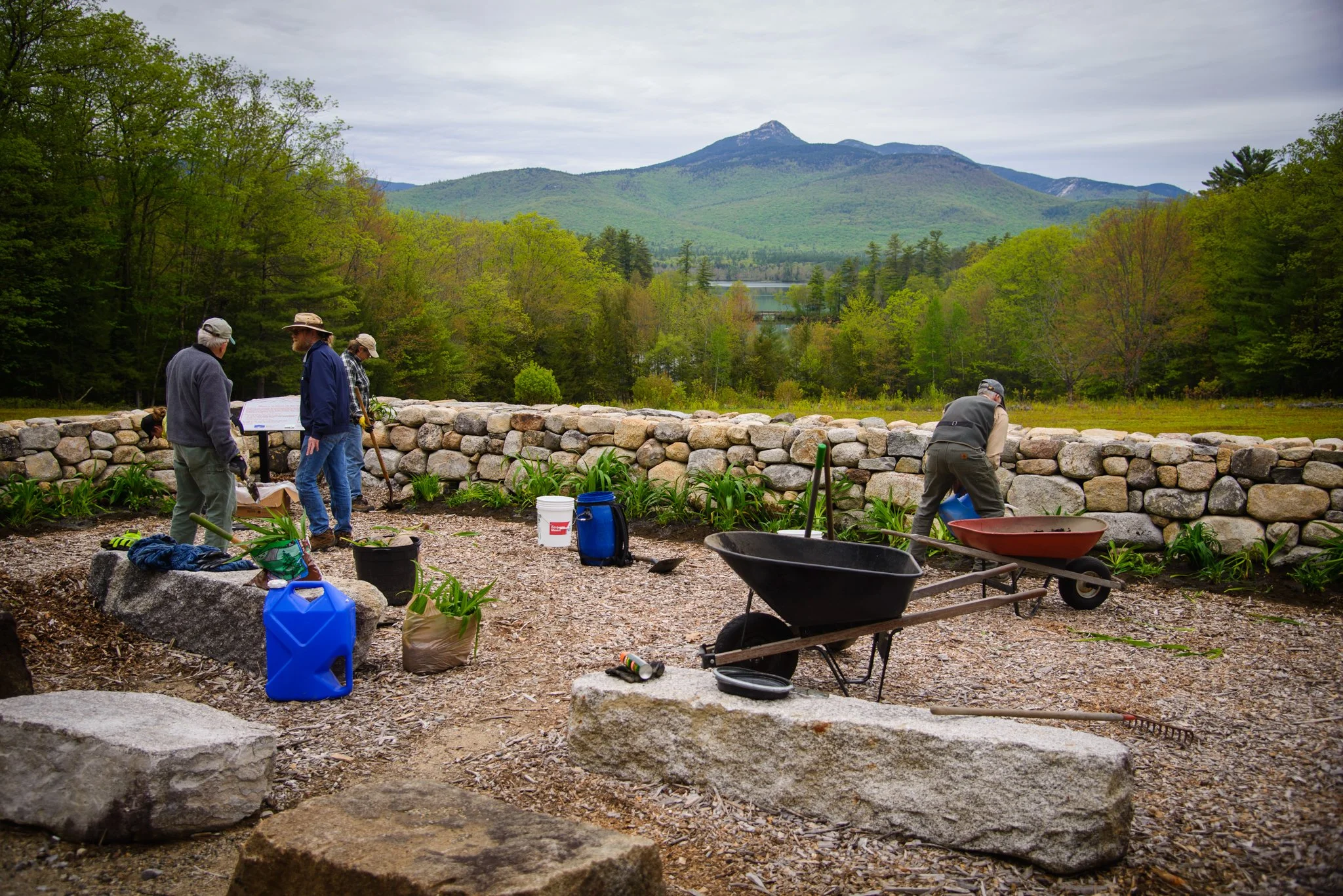 Outdoor Volunteer Morning at the Chocorua Lake Basin View Lot