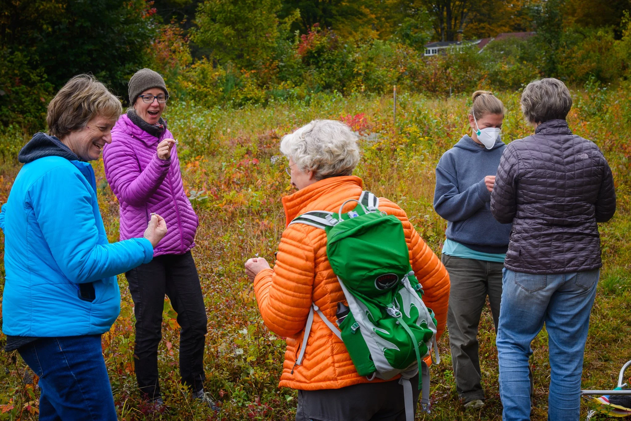Fall Colors Trail Time: Charlotte C. Browne Woods