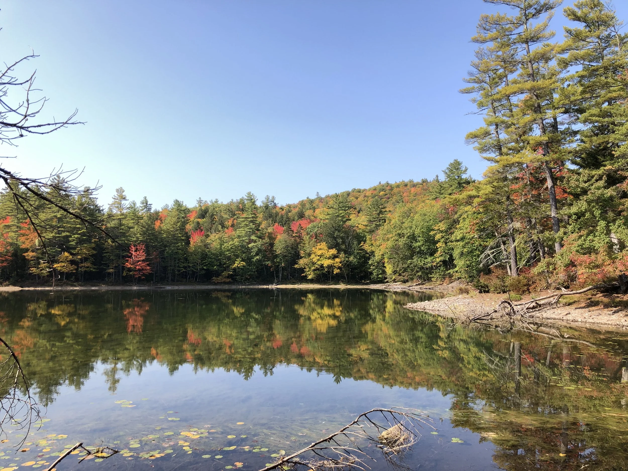 Fall Colors Trail Time: Heron Pond