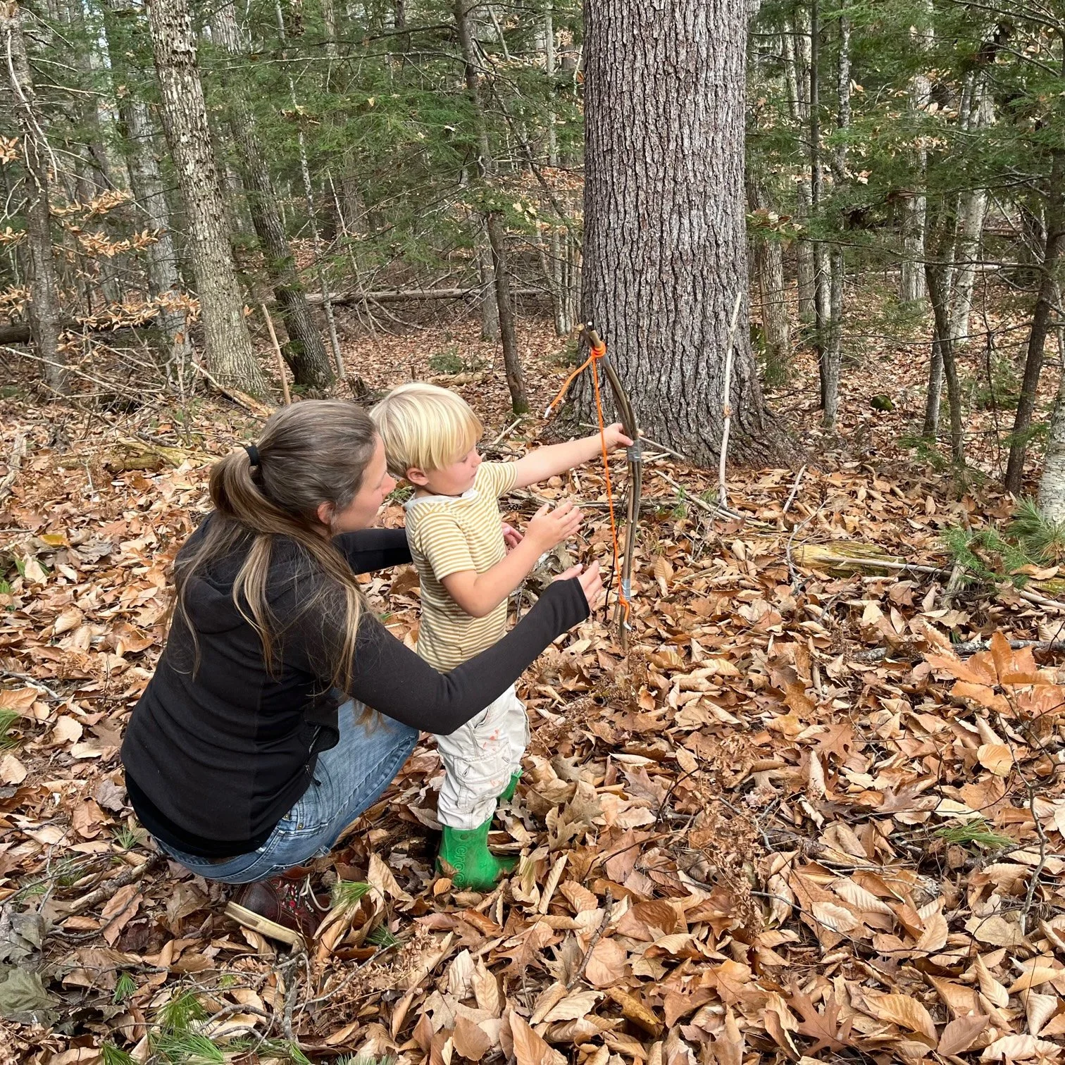 The Wonders of Wood: Fire, Forts, and Forest Ecology