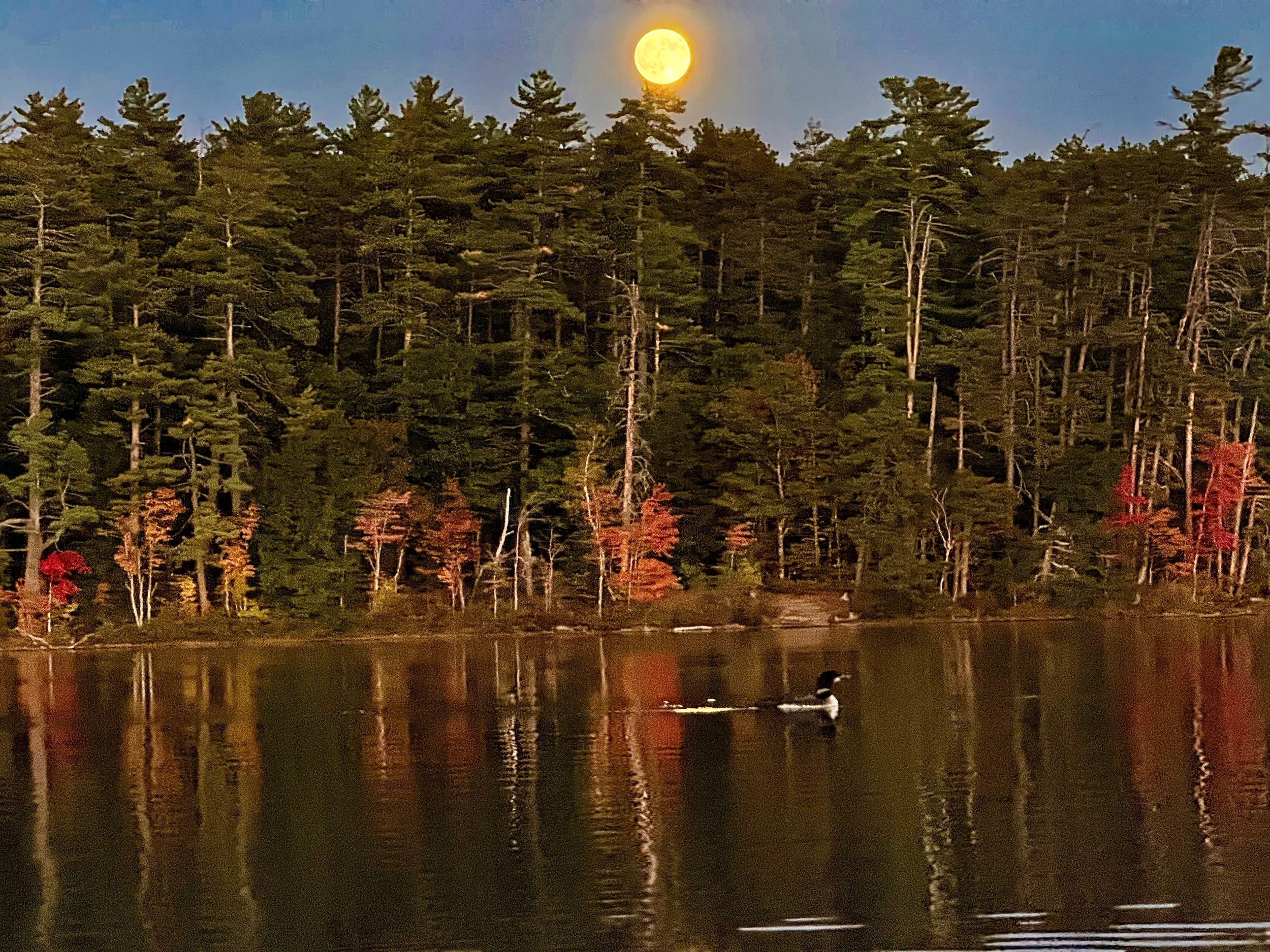 Our 2025 Fall Newsletter is Here!