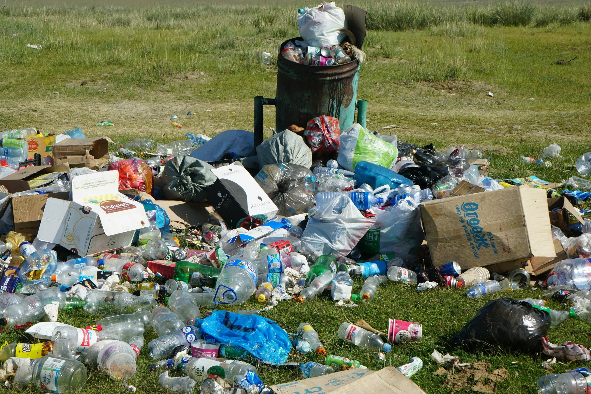 Microplastics &amp; Zero Waste