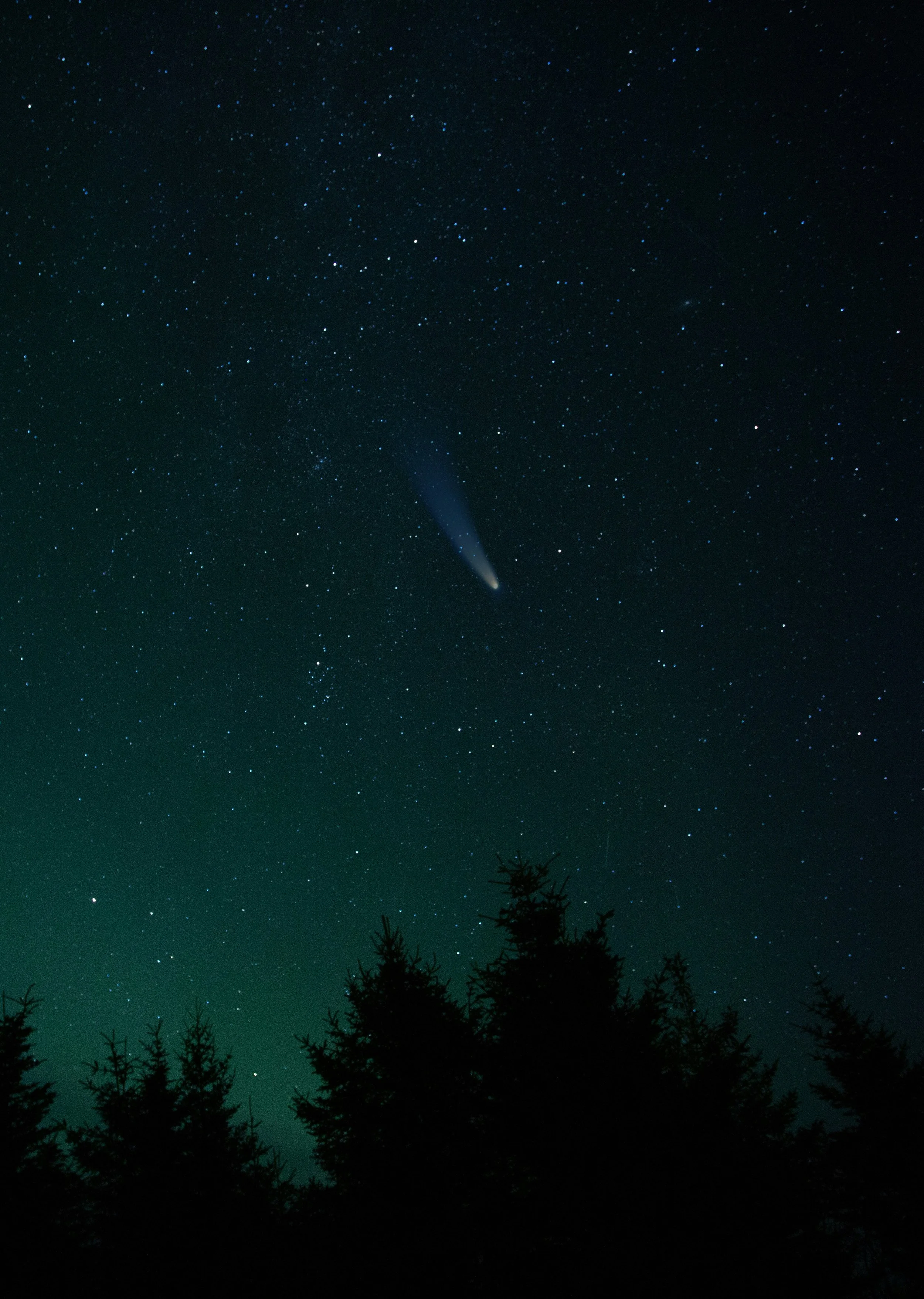 Stories Behind the Stars: The Winter Sky