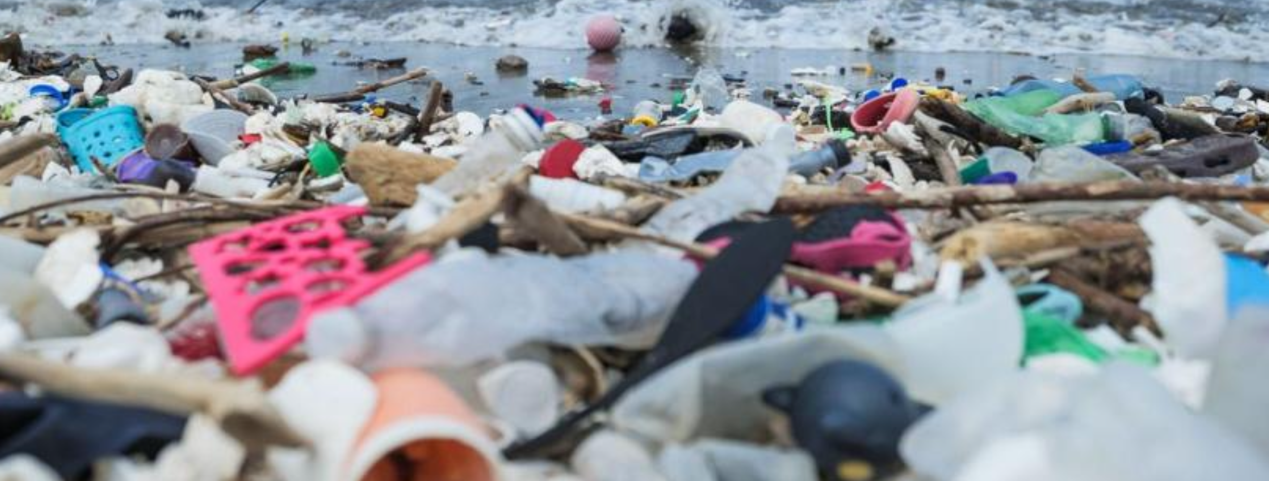 Resources & Recording for "Microplastics & Zero Waste"