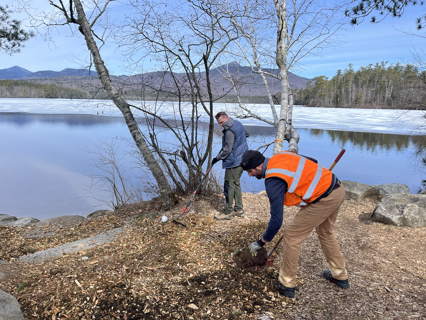 Outdoor Volunteer Morning at the Grove