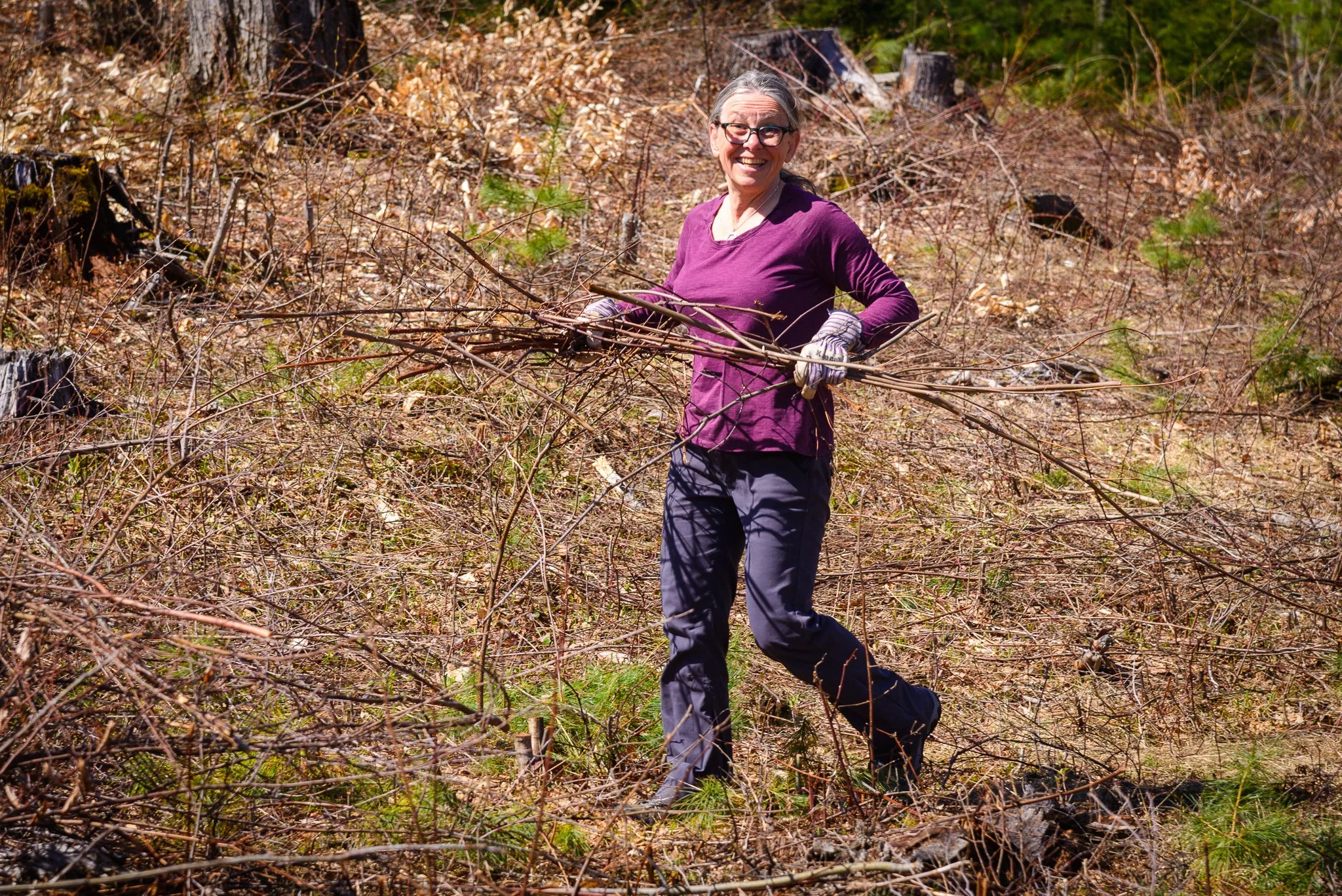 Woodpiles for Wildlife Workshop