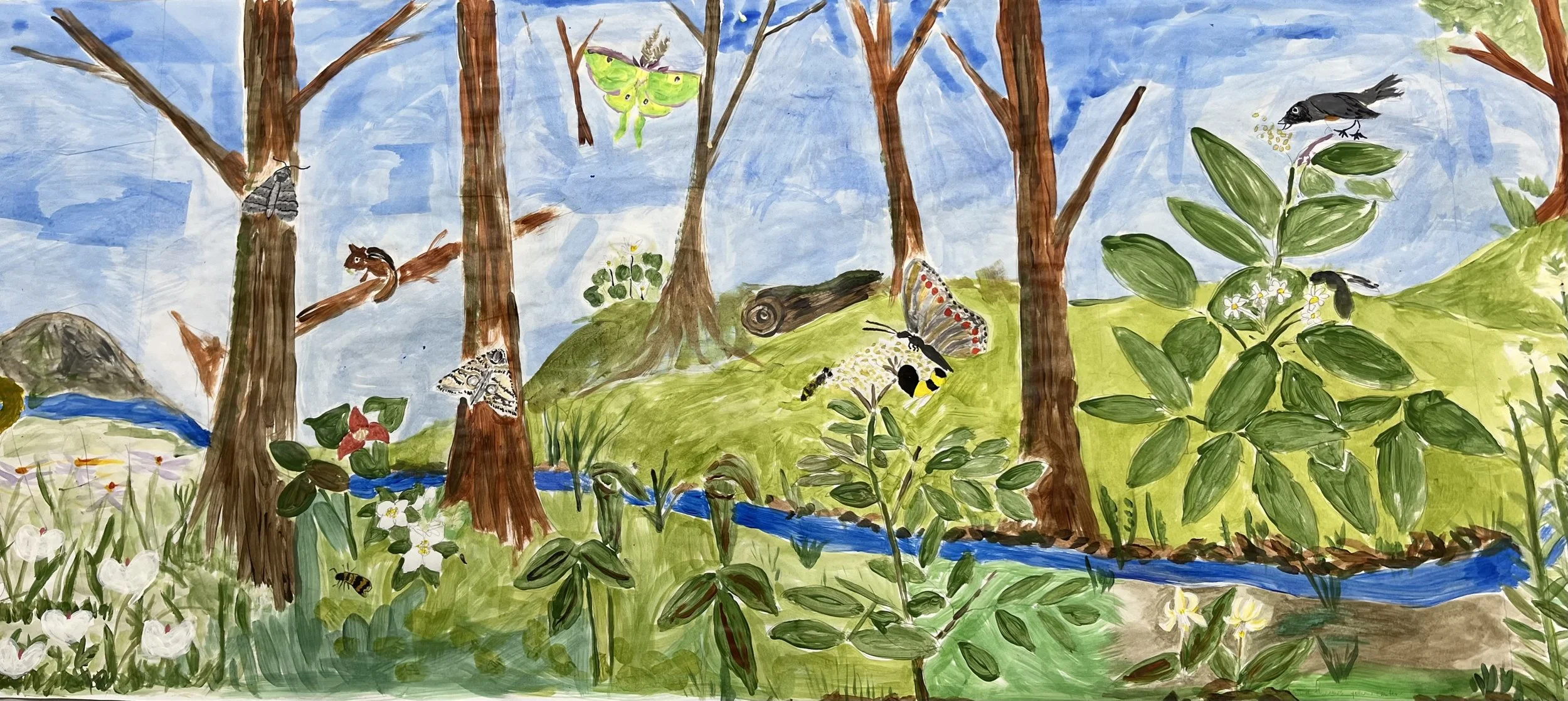 iNaturalist Training Workshop