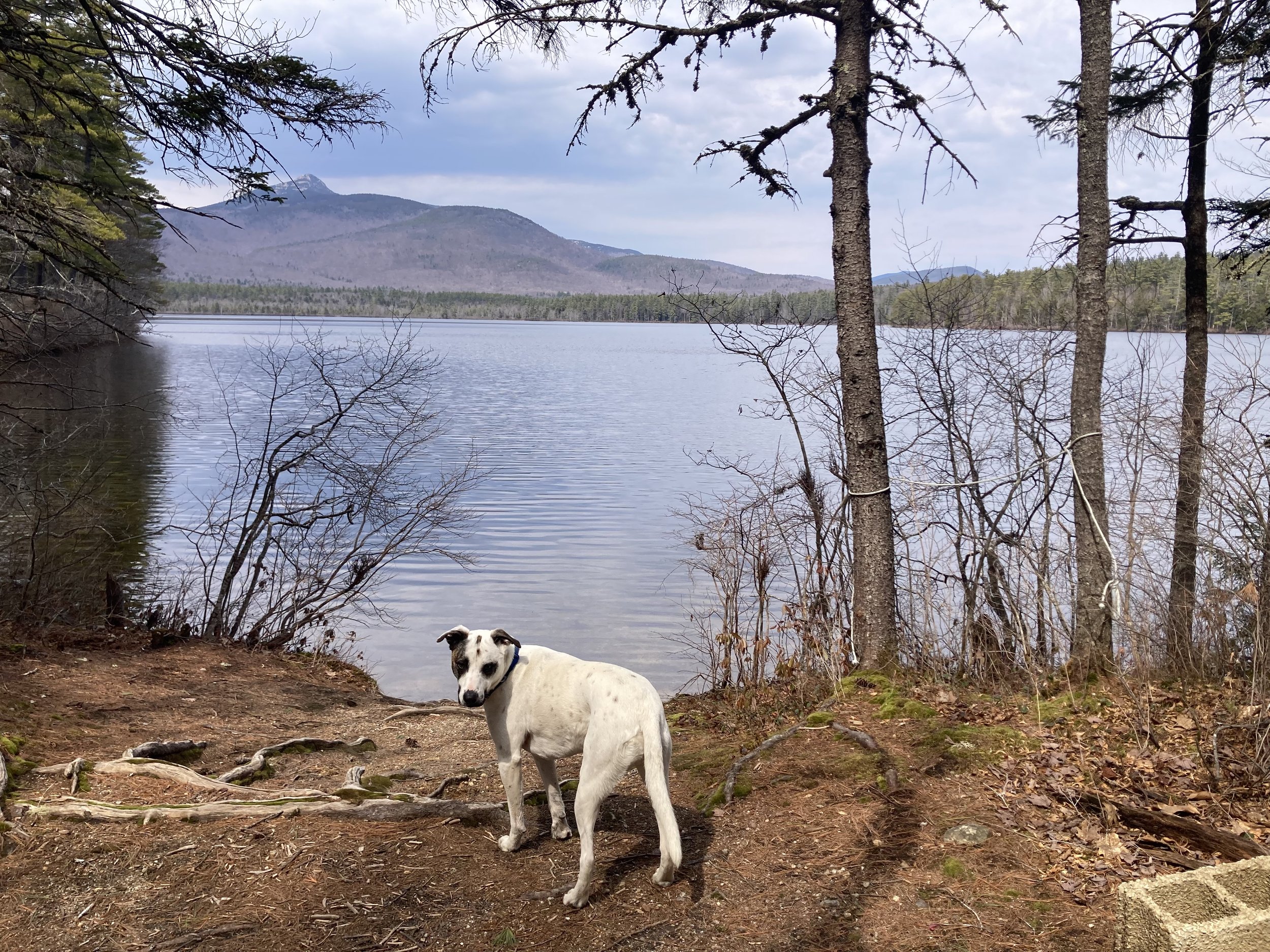 Ice Out called for Friday, April 10!