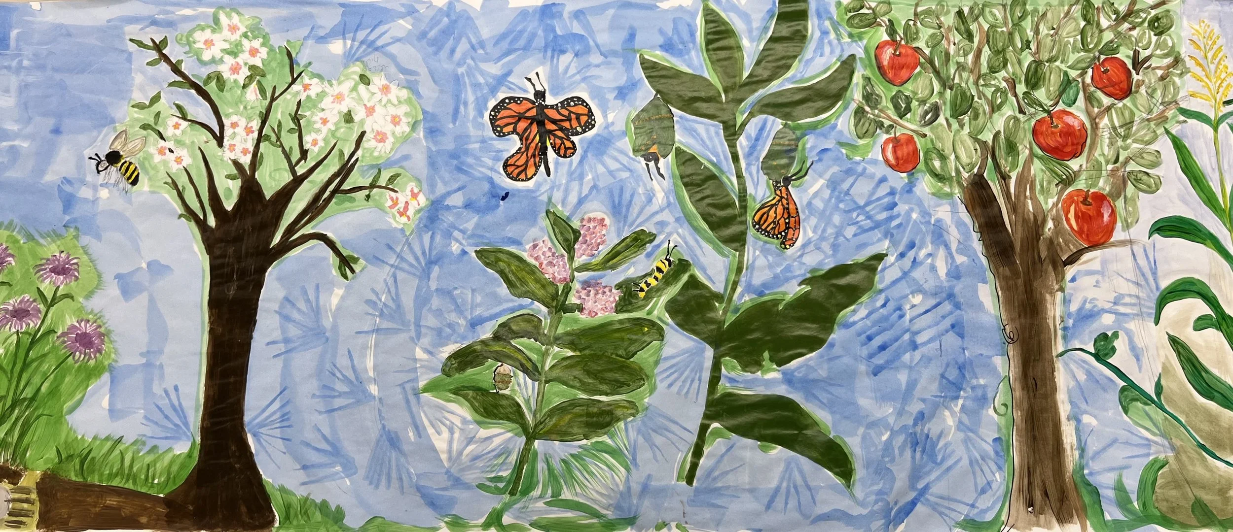 Staffing changes at Chocorua Lake Conservancy