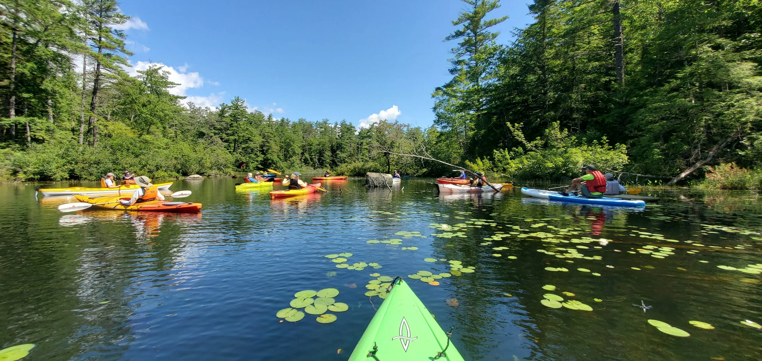 Chocorua Lake Guided Paddle with Loon Preservation Committee