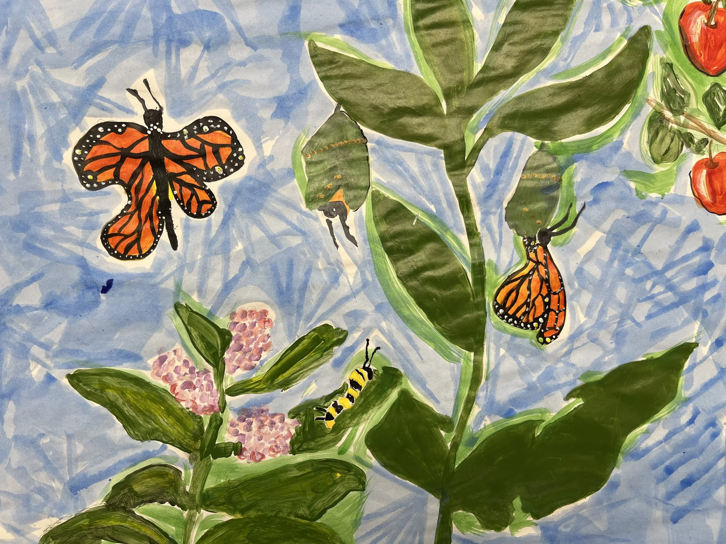 Lepidoptera: The Wings We Overlook