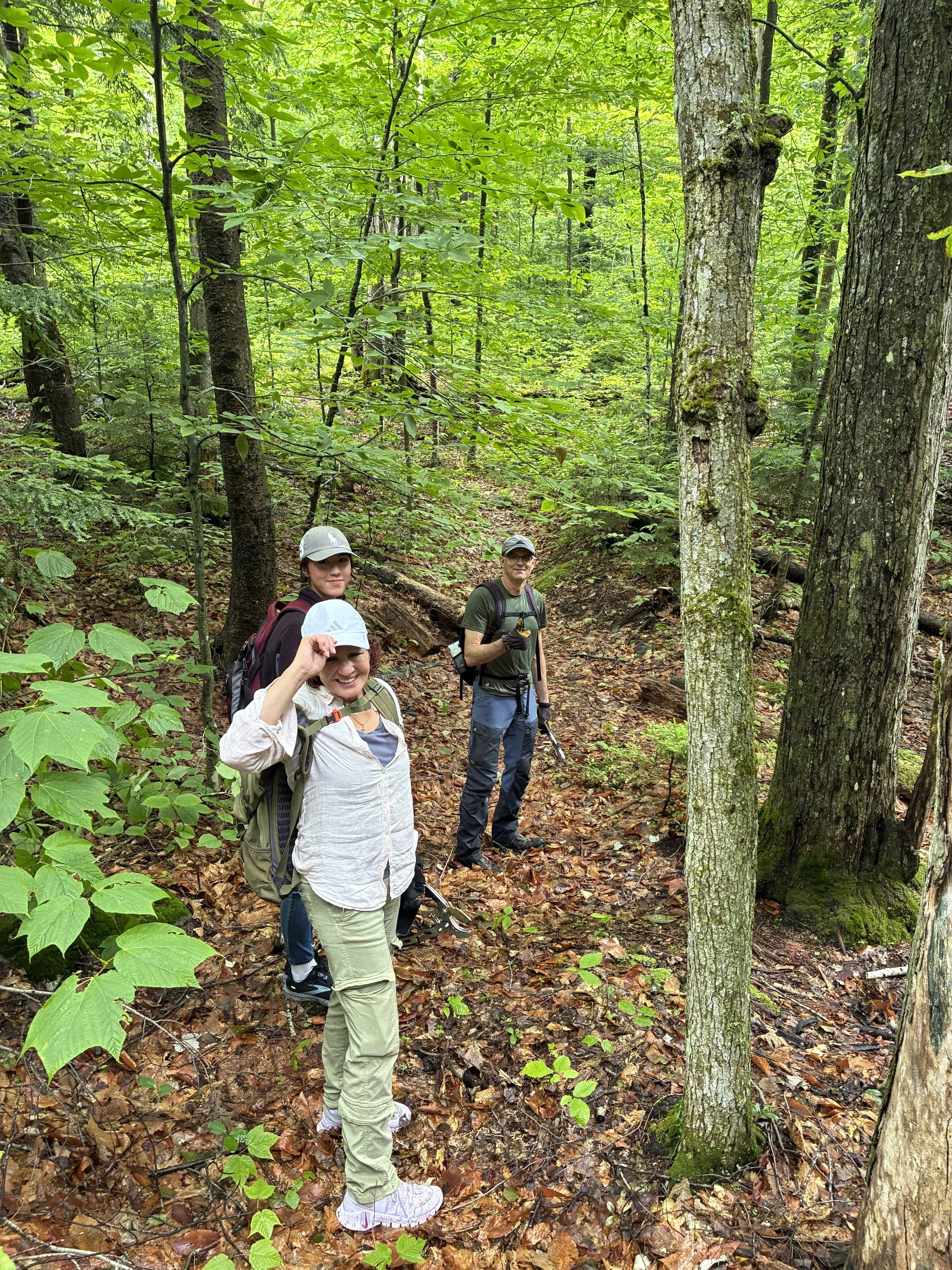 Chocorua Mountain Club Fall Trail Clearing