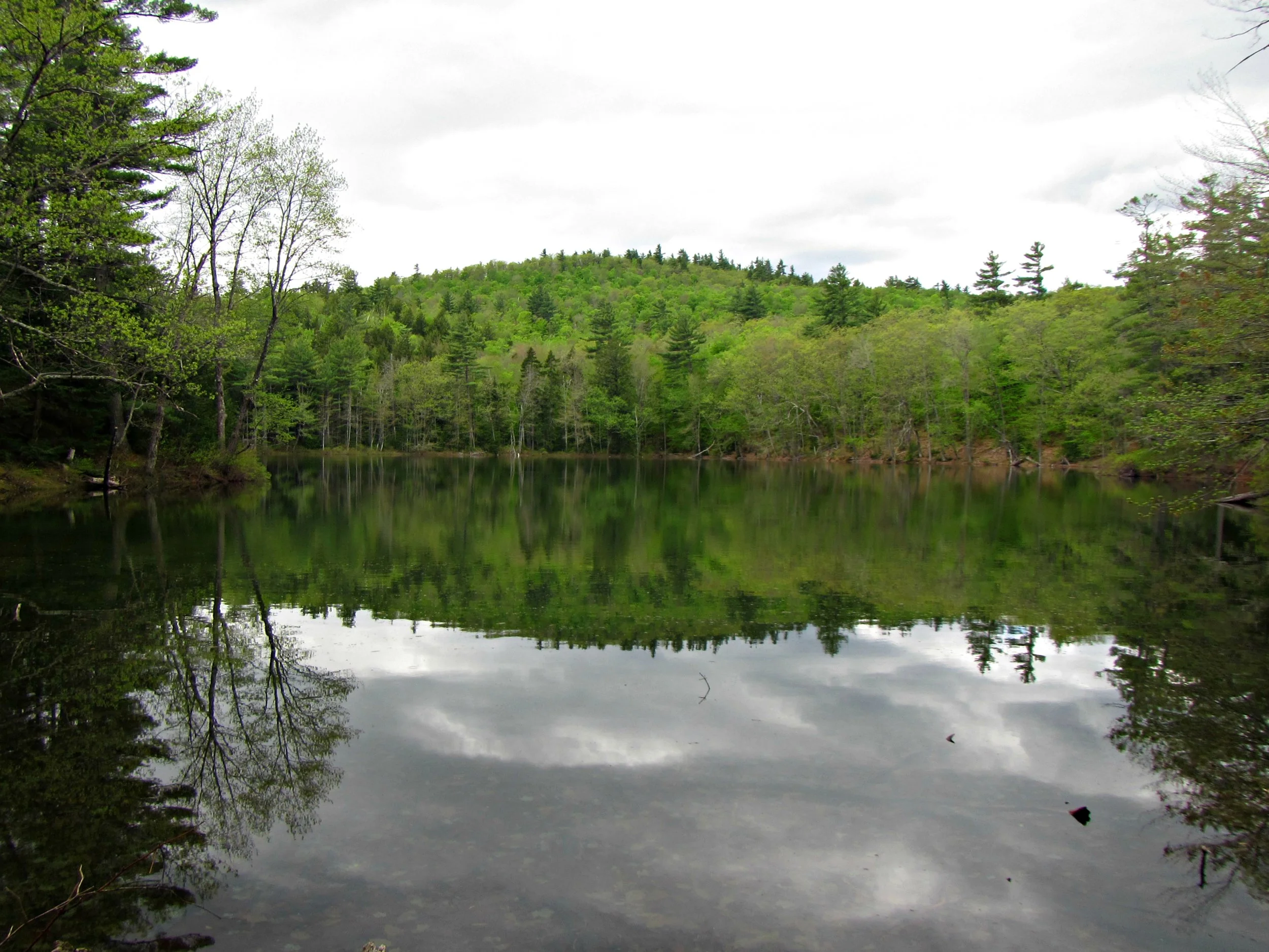 Mindfulness &amp; Nature Writing Walk
