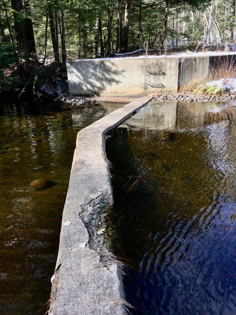 Damage to the dam, Spring 2021.