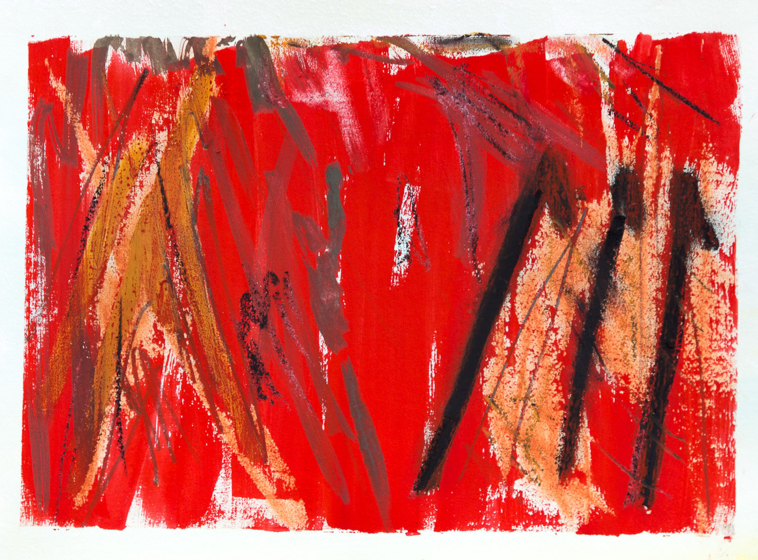 LEARNING TO SEE RED 2019