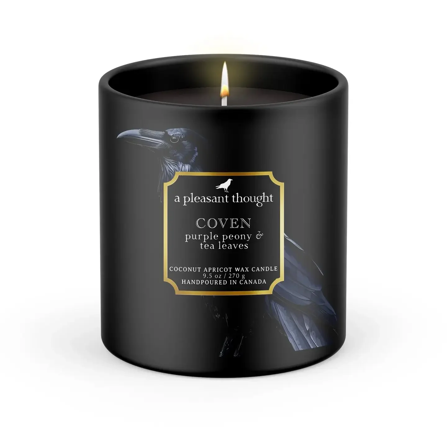 coven.webp