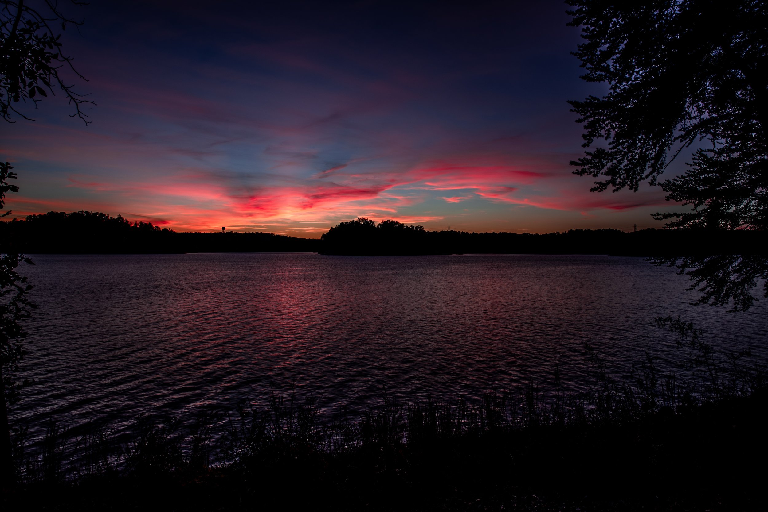 Payment & Pricing — Lake Keowee Labradoodles