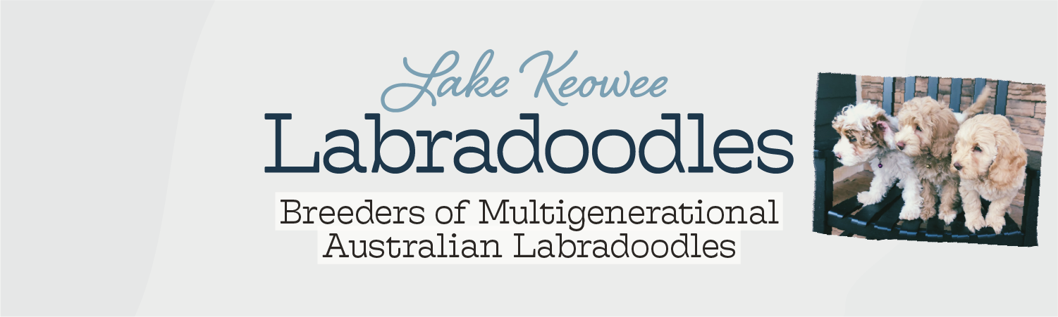 LKL_Banner with logo.png