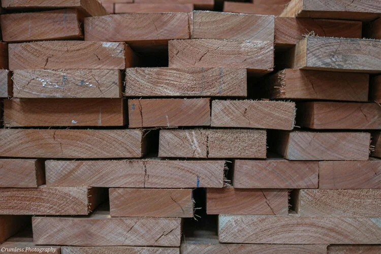 European & Rest World grandis 272.jpeg