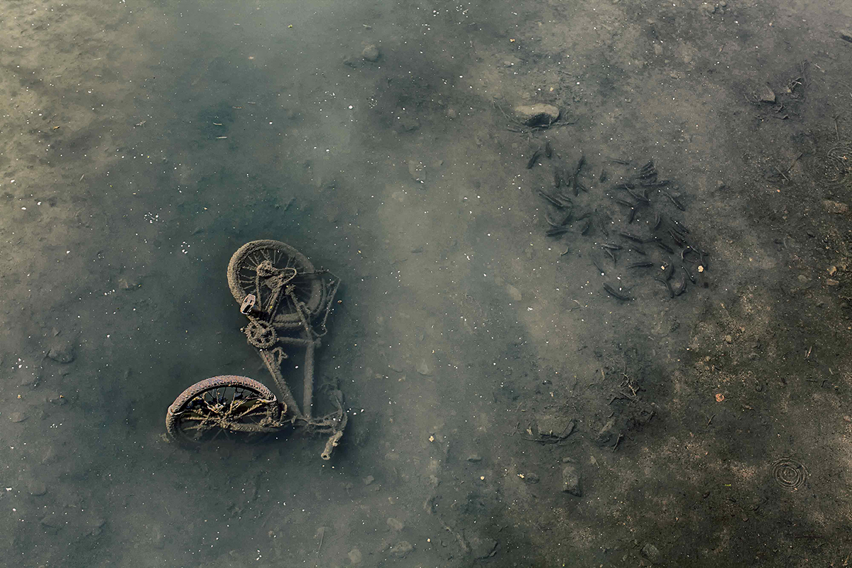 Seth Vane - Bicycle Italy 2013