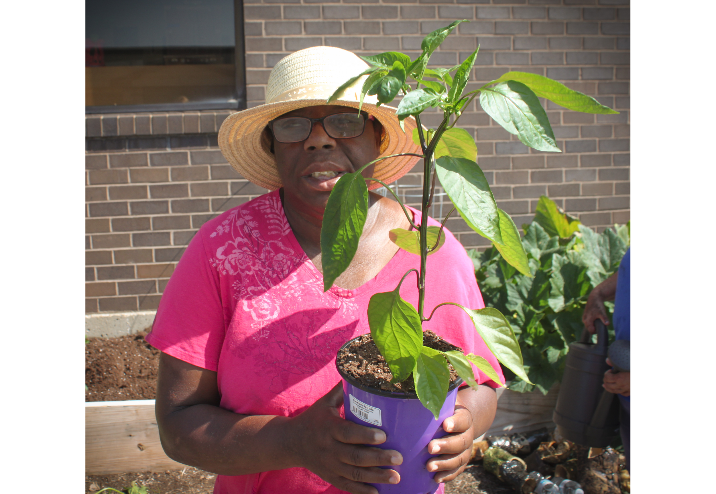 Gardening_Virginia with pepperplant.png