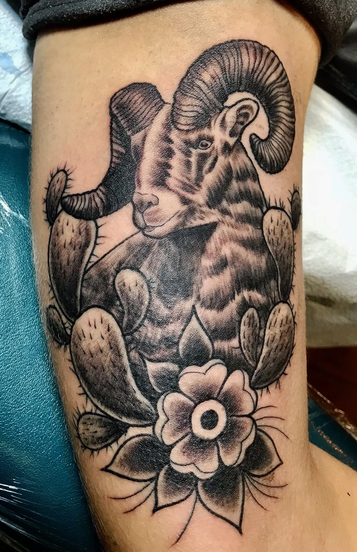 A black and gray tattoo of a ram's head with curled horns, tribal and floral elements, including a large flower at the bottom and cactus paddles surrounding the ram.