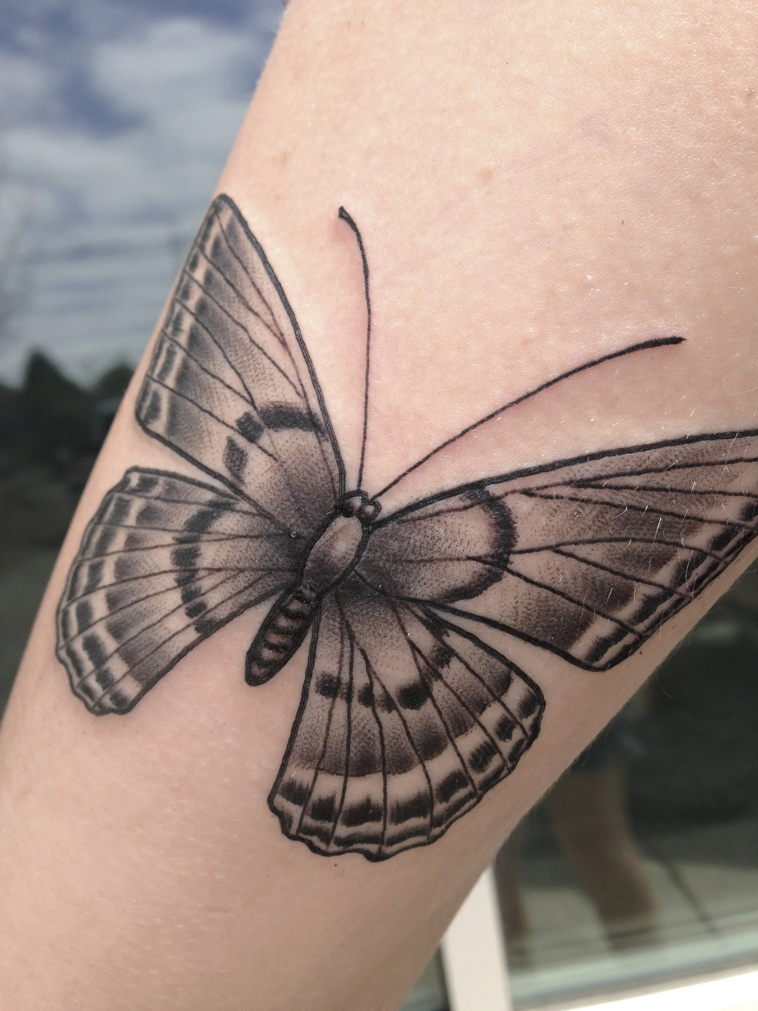 Black and Grey Butterfly Tattoo.