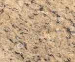giallo Ornamental