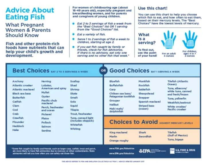 best fish for babies