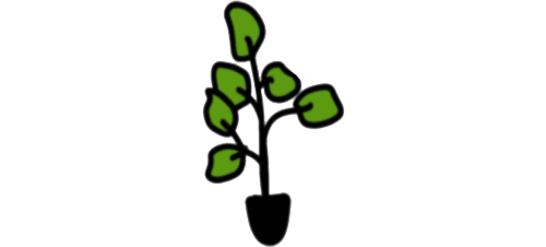 plant4.png