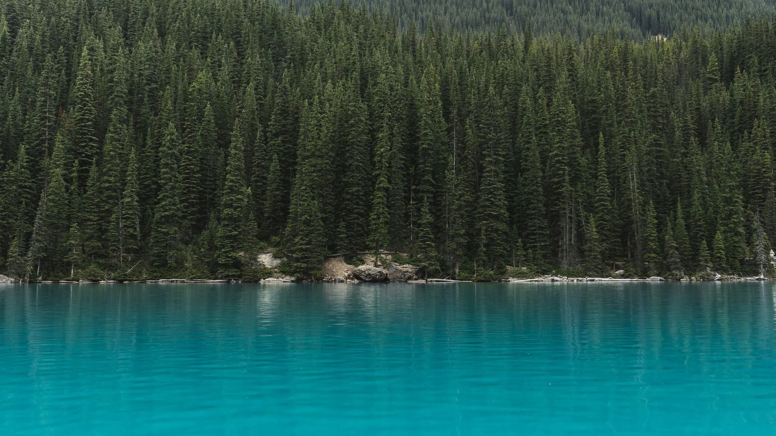 redd-francisco-4NiPeL-kMNo-unsplash.jpg