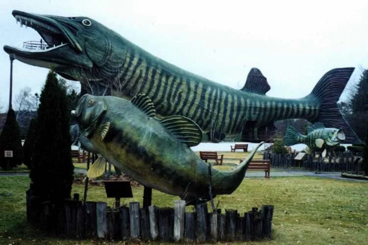 bigmusky.jpeg