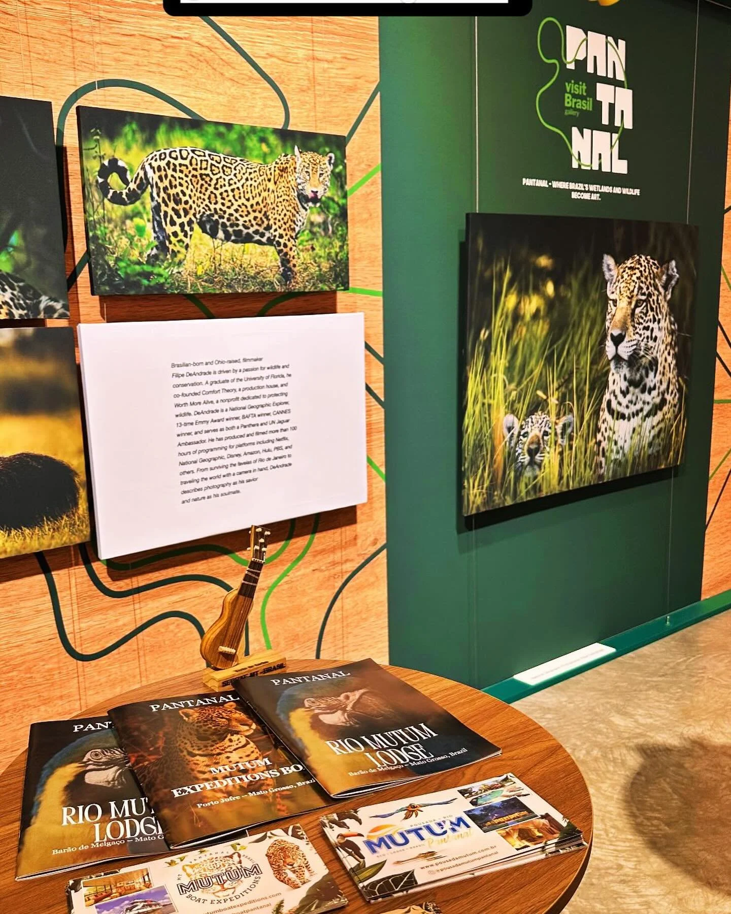Representing Pantanal in New York. Thank you @embraturbrasil and @sebraematogrosso for wonderful event!