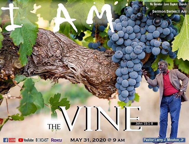 Jesus proclaimed  that He is the VINE!  Pastor Mouton is continuing  the powerful  sermon  series &quot;I Am&quot; this Sunday.  Recent events have made it clear that everyone needs to know God and grow in their relationship with God.  Hearing the Wo