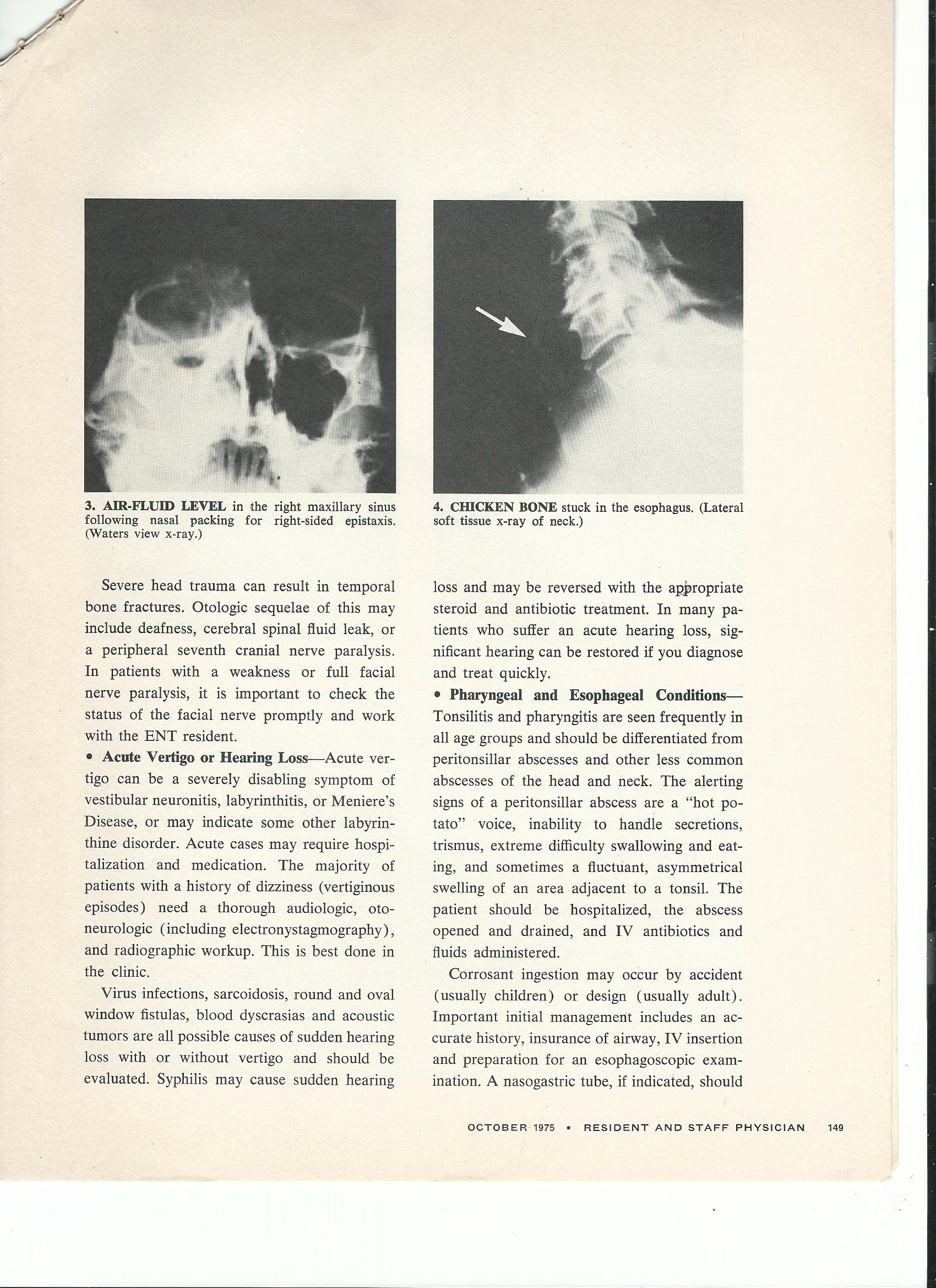 Scan 4.jpeg