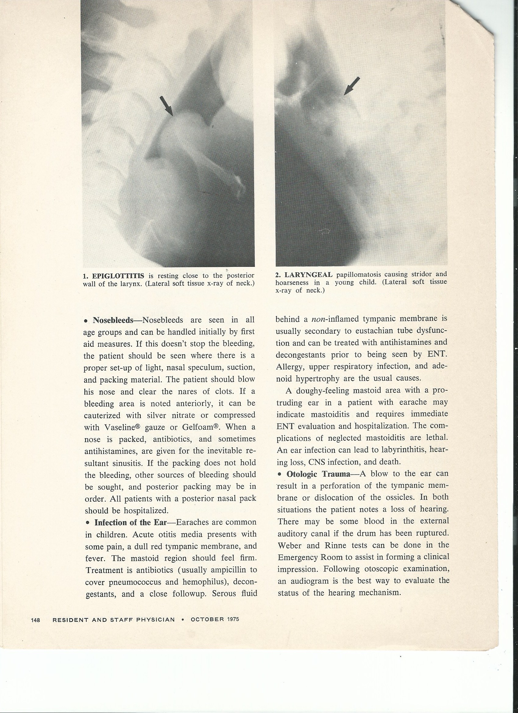 Scan 3.jpeg