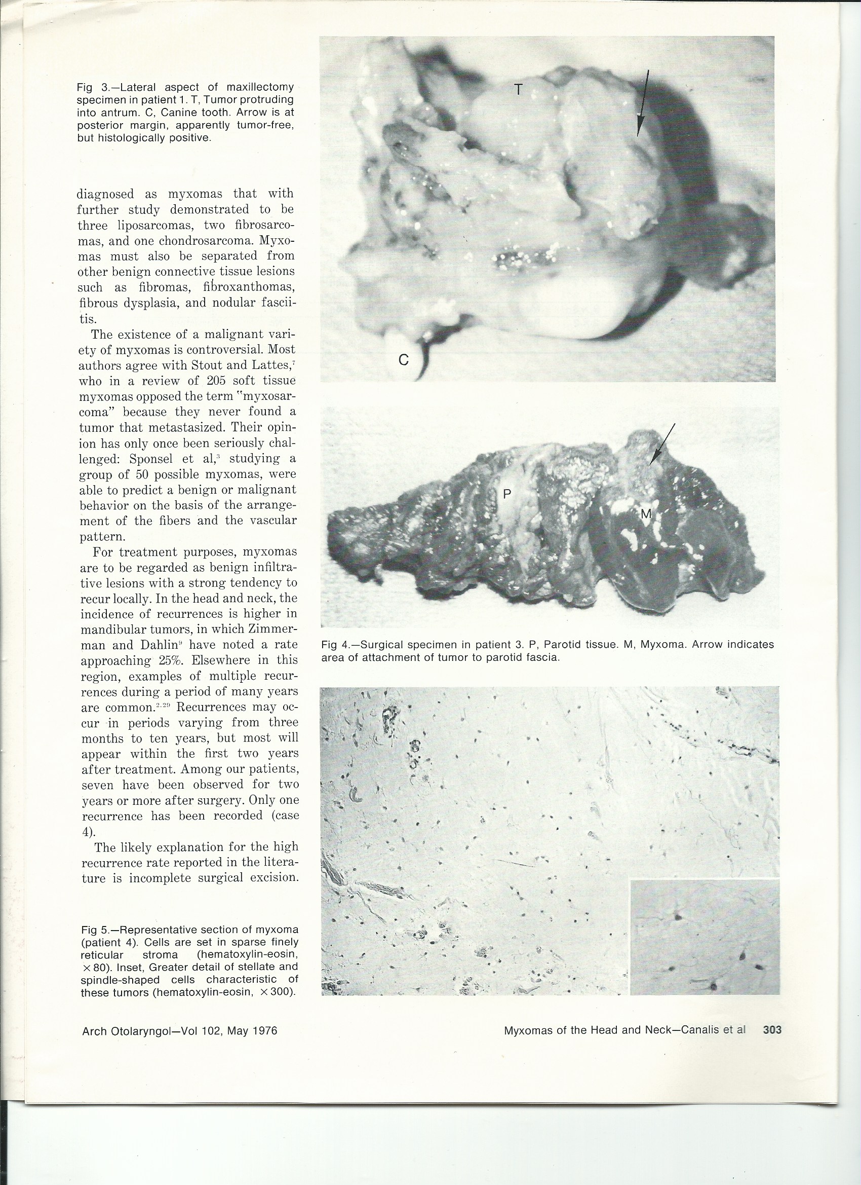 Scan 9.jpeg