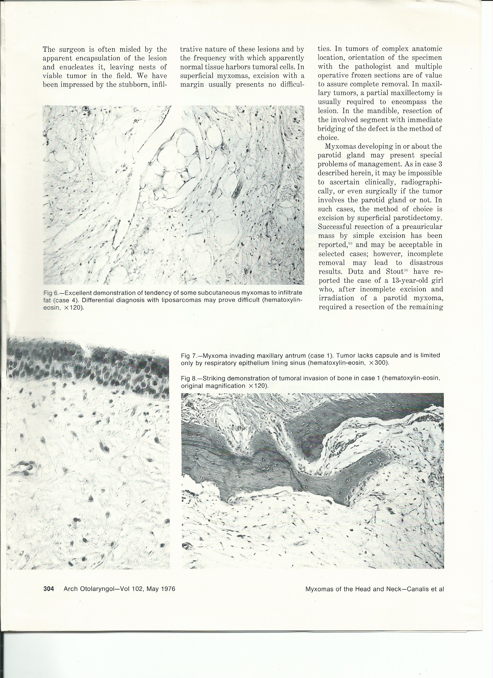 Scan 10.jpeg