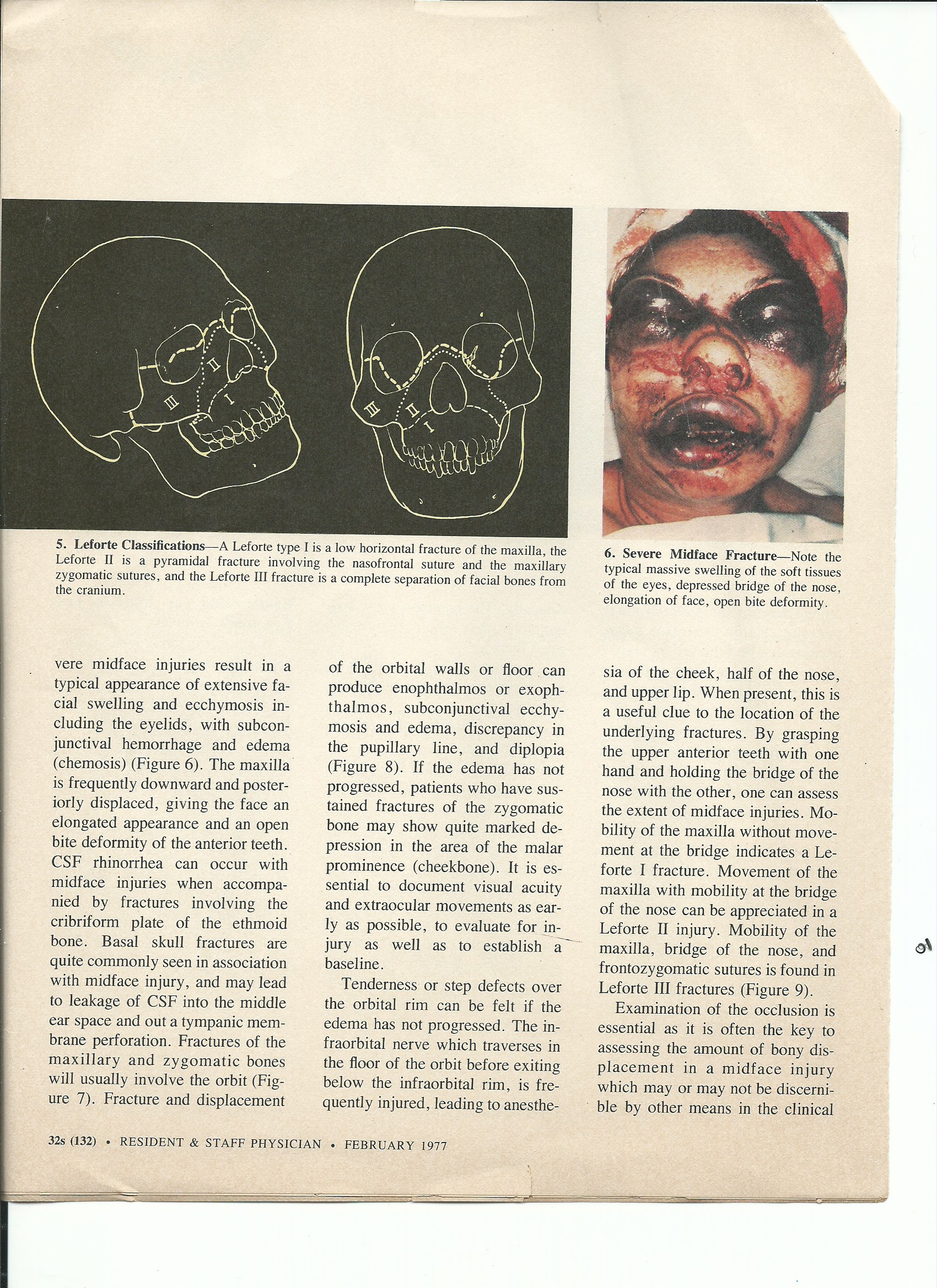 Scan 23.jpeg