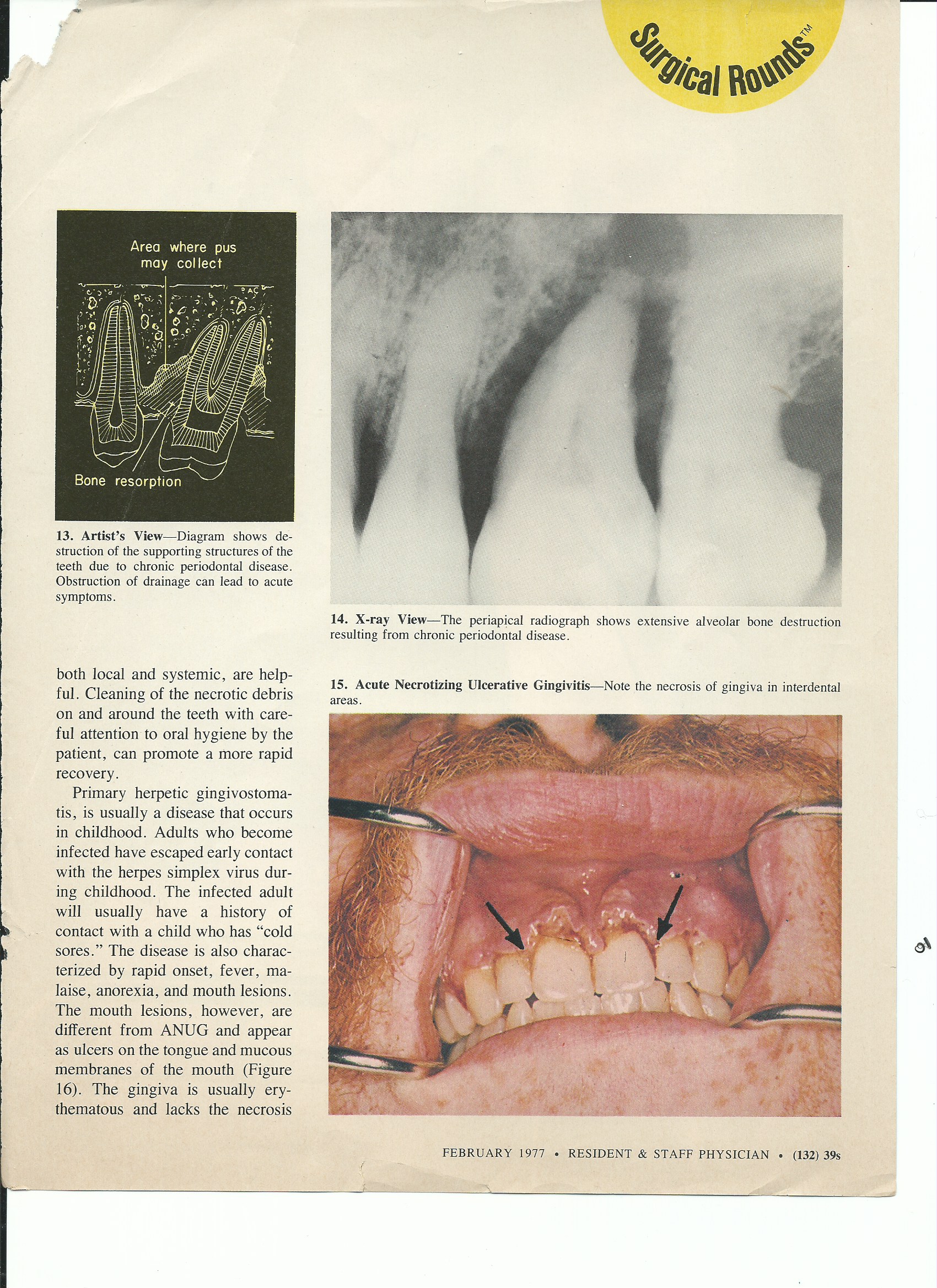 Scan 27.jpeg