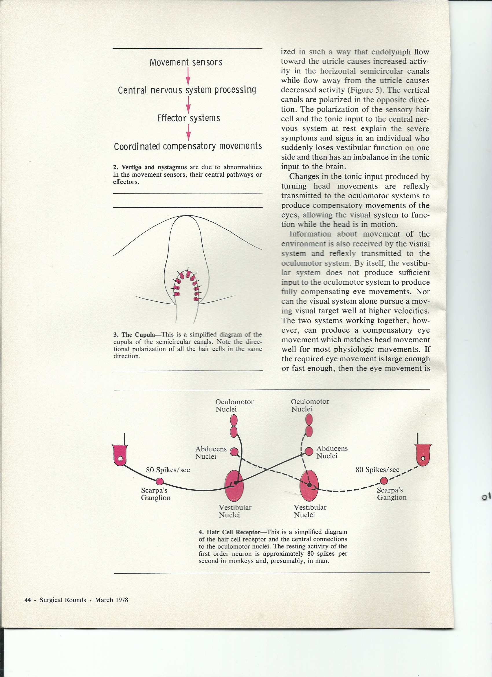Scan 58.jpeg